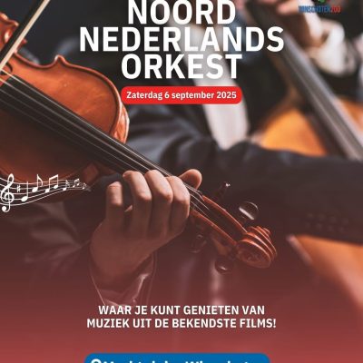 WhatsApp Image 2025-10-22 at 13.03.04