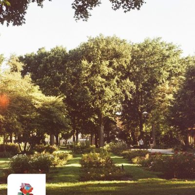 WhatsApp Image 2025-10-22 at 13.27.52